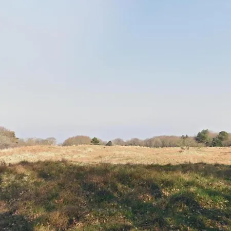 Studio Hazenborgh In Callantsoog Near The Sea Exterior photo